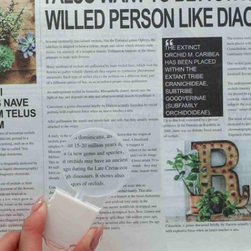 拡大鏡 電球ルーペ 45mm 3倍 W LEDライト付き サンスター文具 プレゼント