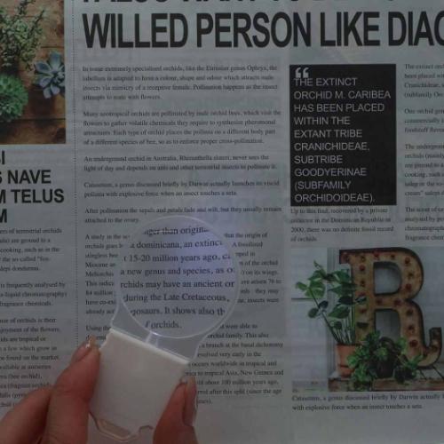 拡大鏡 電球ルーペ 45mm 3倍 W LEDライト付き サンスター文具 プレゼント