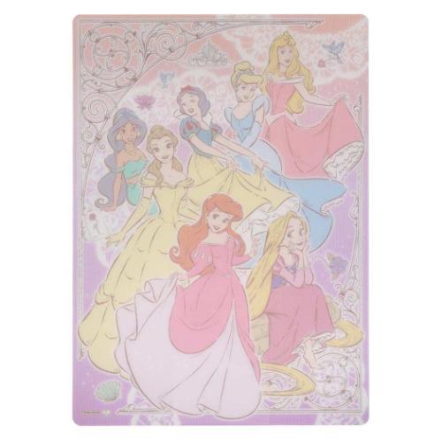 ディズニープリンセス クリア下敷 ディズニー 下敷き キャラクター