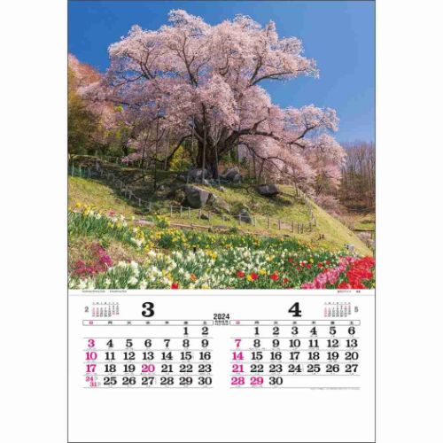 2024 Calendar トーハン DX 日本の情景 壁掛けカレンダー2024年 フィルム フォト トーダン｜cinemacollection｜02