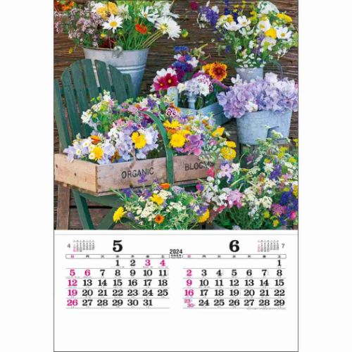 壁掛けカレンダー2024年 トーハン DX イングリッシュ ガーデン 2024 Calendar トーダン｜cinemacollection｜03