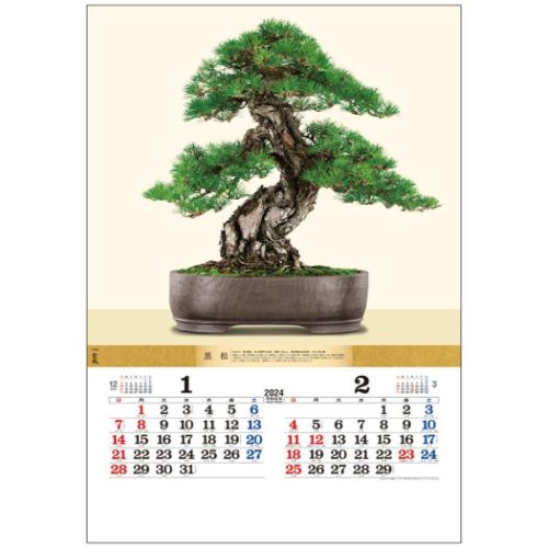 壁掛けカレンダー2024年 盆栽DX 2024 Calendar トーダン｜cinemacollection