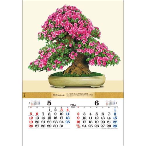 壁掛けカレンダー2024年 盆栽DX 2024 Calendar トーダン｜cinemacollection｜03