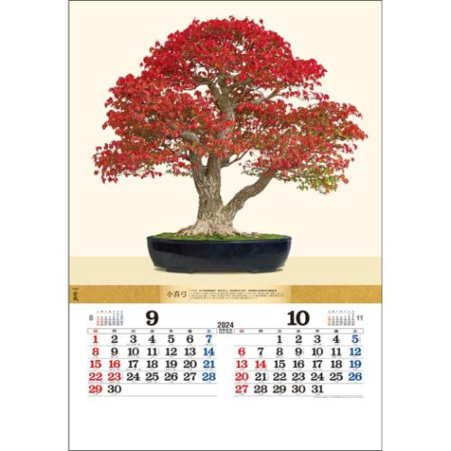 壁掛けカレンダー2024年 盆栽DX 2024 Calendar トーダン｜cinemacollection｜05