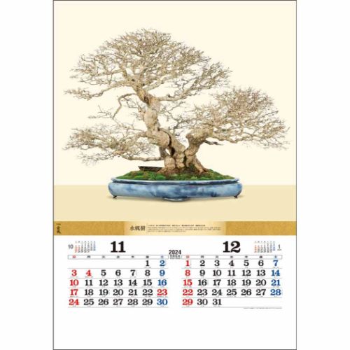 壁掛けカレンダー2024年 盆栽DX 2024 Calendar トーダン｜cinemacollection｜06