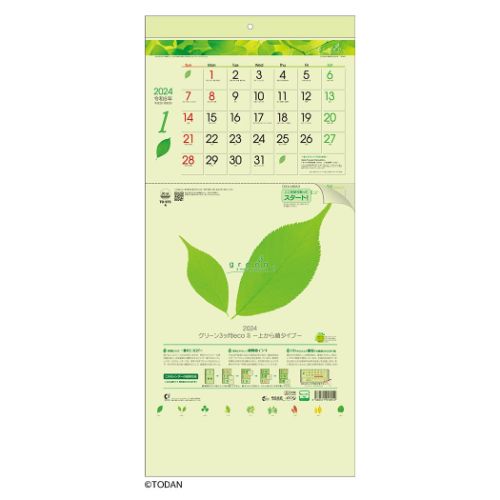 壁掛けカレンダー2024年 グリーン3ヶ月eco S 2024 Calendar トーダン 上から順タイプ