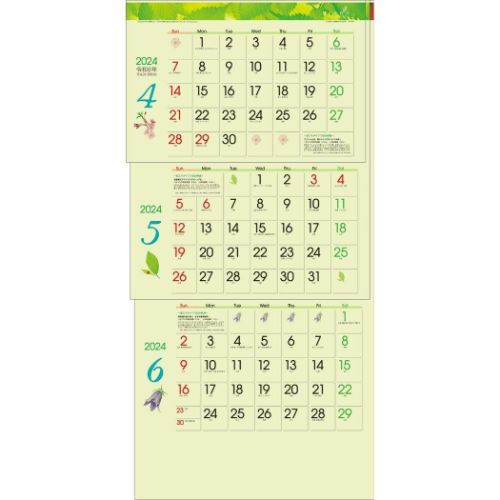 壁掛けカレンダー2024年 グリーン3ヶ月eco S 2024 Calendar トーダン 上から順タイプ｜cinemacollection｜03