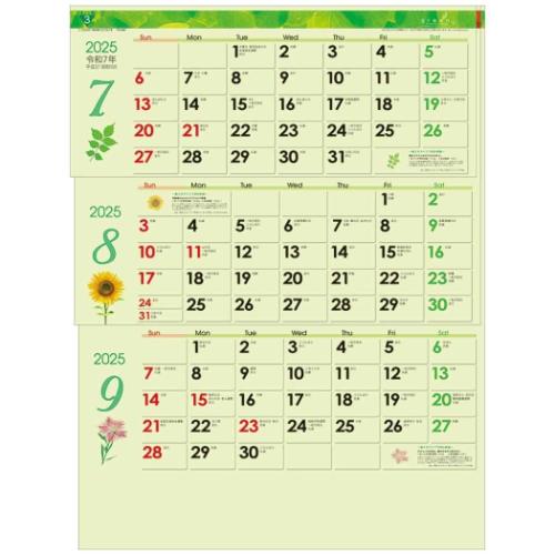 2025 Calendar 壁掛けカレンダー2025年 グリーン3ヶ月eco M 日付マーカー付 上から順タイプ トーダン シンプル オフィス 実用 書き込み