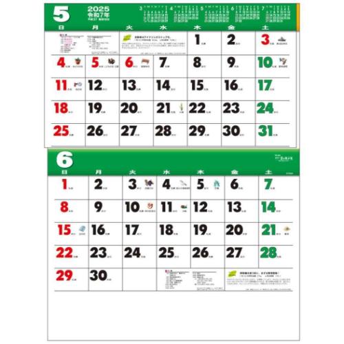 2025 Calendar 壁掛けカレンダー2025年 カラー2ヶ月メモ 15ヶ月 スケジュール トーダン シンプル オフィス