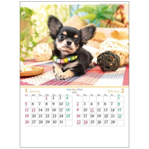 2025 Calendar 壁掛けカレンダー2025年 ワンニャン パーク フォト トーダン 写真 犬 猫 インテリア