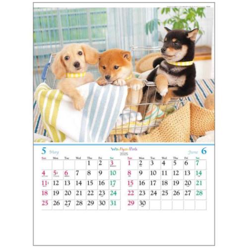 2025 Calendar 壁掛けカレンダー2025年 ワンニャン パーク フォト トーダン 写真 犬 猫 インテリア