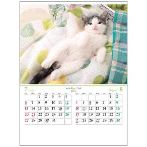 2025 Calendar 壁掛けカレンダー2025年 ワンニャン パーク フォト トーダン 写真 犬 猫 インテリア