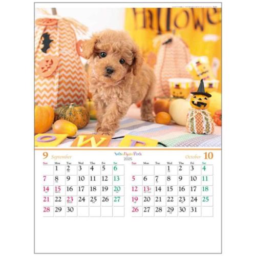 2025 Calendar 壁掛けカレンダー2025年 ワンニャン パーク フォト トーダン 写真 犬 猫 インテリア