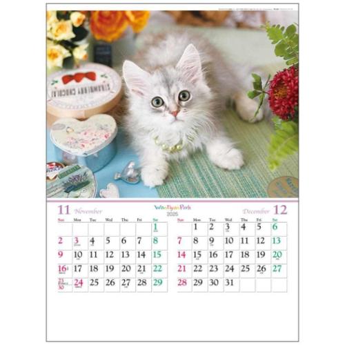 2025 Calendar 壁掛けカレンダー2025年 ワンニャン パーク フォト トーダン 写真 犬 猫 インテリア