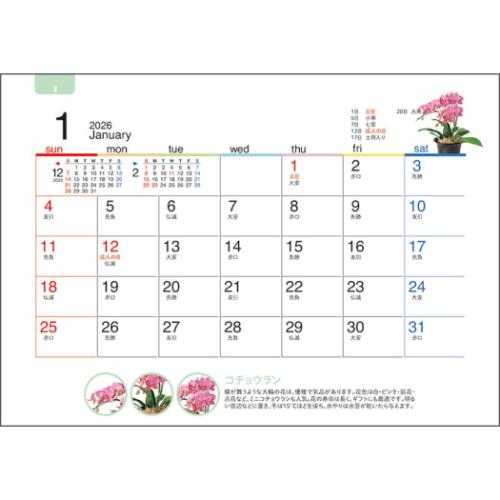 カレンダー2026年 卓上オールペーパー 緑のくらし 2026 Calendar トーダン