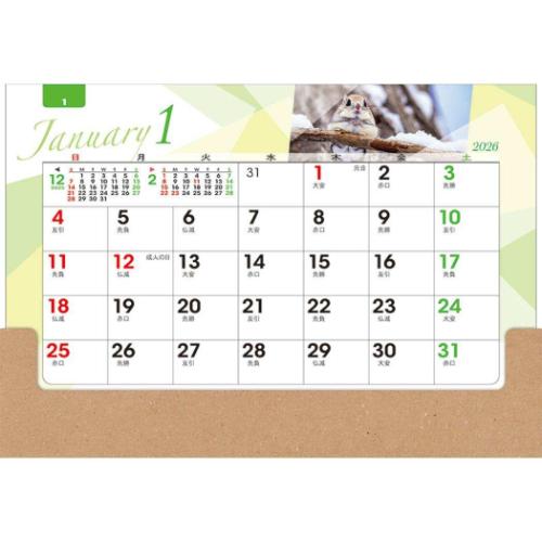 2026 Calendar 卓上オールペーパー 森のかがやき カレンダー2026年 スケジュール トーダン シンプル ビジネス
