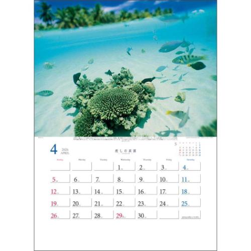 2026 Calendar 癒しの楽園 壁掛けカレンダー2026年 三好和義作品集