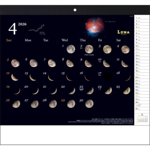 2026 Calendar ルナ 壁掛けカレンダー2026年 月ごよみ トーダン