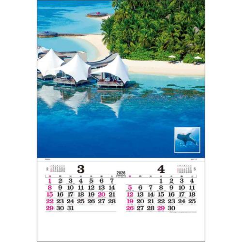 30%OFF】2026 Calendar 壁掛けカレンダー2026年 トーハン DX マリン