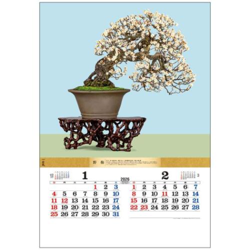 50％OFF】壁掛けカレンダー2026年 盆栽DX 2026 Calendar トーダン