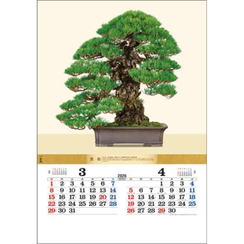 2026 Calendar 壁掛けカレンダー2026年 盆栽DX トーダン 写真 インテリア