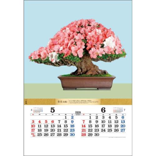 50％OFF】壁掛けカレンダー2026年 盆栽DX 2026 Calendar トーダン