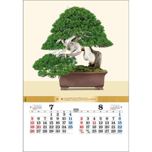 50％OFF】壁掛けカレンダー2026年 盆栽DX 2026 Calendar トーダン
