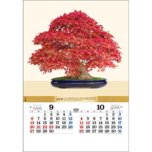 50％OFF】壁掛けカレンダー2026年 盆栽DX 2026 Calendar トーダン