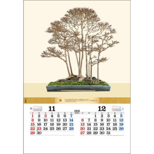 50％OFF】壁掛けカレンダー2026年 盆栽DX 2026 Calendar トーダン