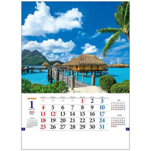 50％OFF】2026 Calendar ザ ワールド 壁掛けカレンダー2026年 フォト