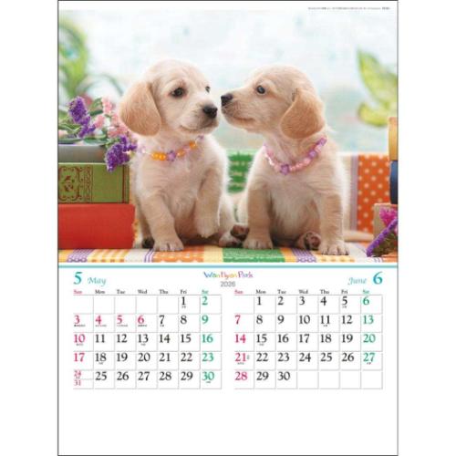 壁掛けカレンダー2026年 ワンニャン パーク 2026 Calendar トーダン フォト