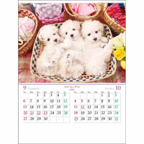 壁掛けカレンダー2026年 ワンニャン パーク 2026 Calendar トーダン フォト