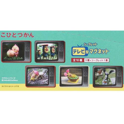 シークレットテレビ型マグネット 全10種 10個入セット こびとづかん