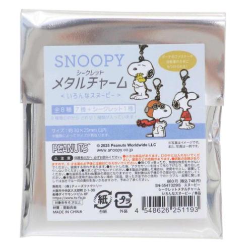 PEANUTS スヌーピー ピーナッツ キャラクター キーホルダー