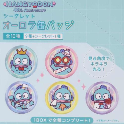ハンギョドン シークレットオーロラカンバッジ 全10種 缶バッジ 40周年