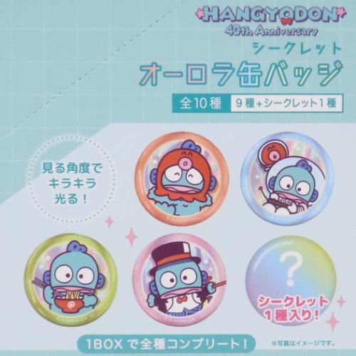 ハンギョドン シークレットオーロラカンバッジ 全10種 缶バッジ 40周年