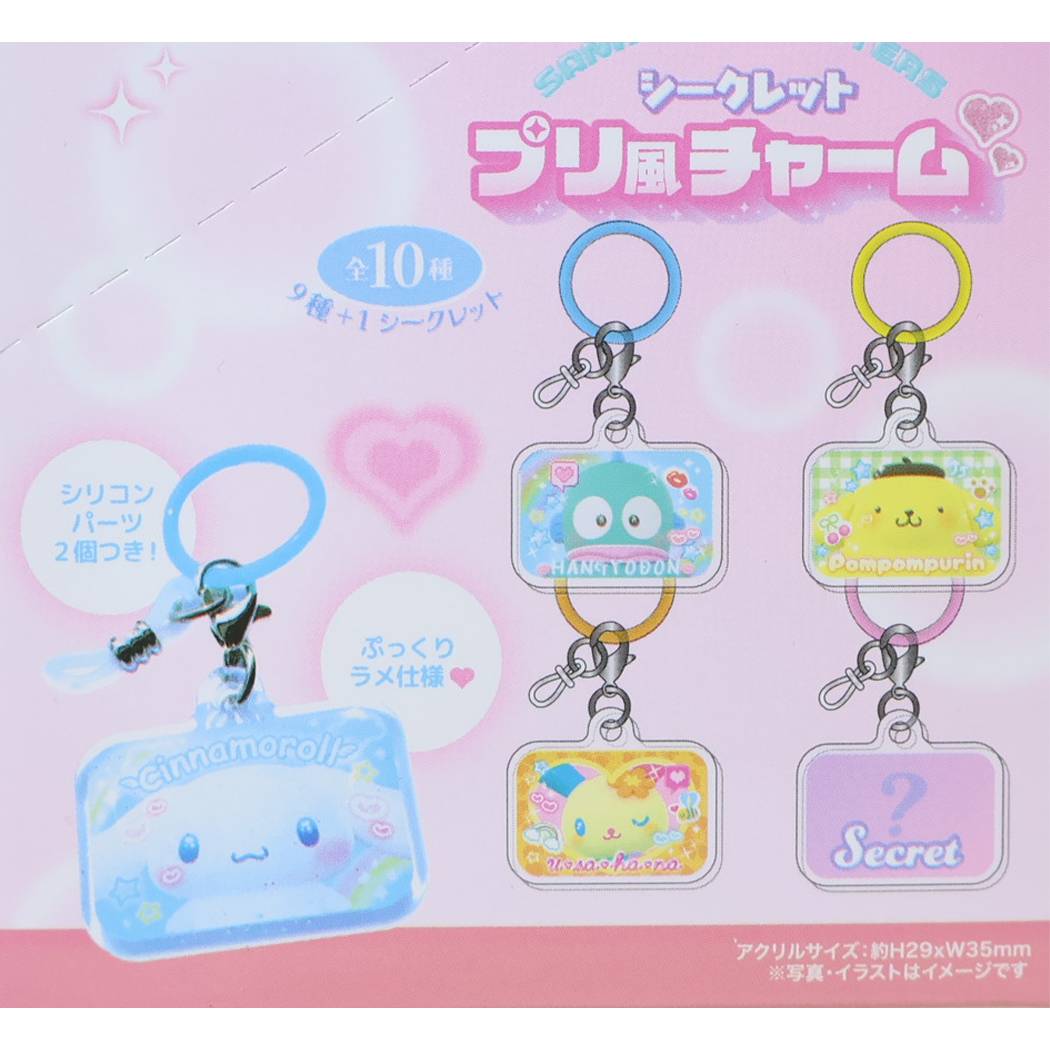 マイメロディ シークレットチャーム ヒストリA全10種 サンリオ シークレットチャーム 全10種 マイメロディ シークレット