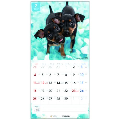 2024 Calendar ミニチュア ピンシャー 壁掛けカレンダー2024年 いぬ