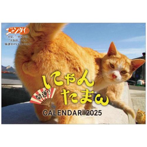 たまのおねだり 2025 オリジナルカレンダー 猫 - メルカリ