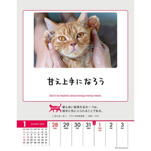 2026 Calendar 卓上カレンダー2026年 人生はニャンとかなる！ 卓上