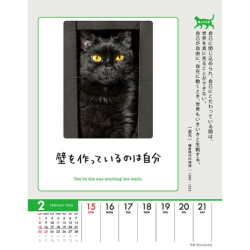 2026 Calendar 卓上カレンダー2026年 人生はニャンとかなる！ 卓上