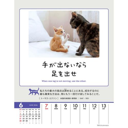 日本全国送料無料商品 | 特集 | u*b様 【ねこツーカレンダー】2026年度