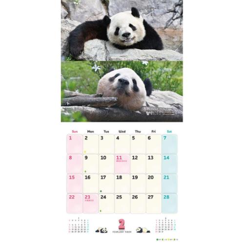 2026年 パンダ壁掛けカレンダー 2026Calendar 壁掛けカレンダー2026年 パンダ シャンシャン パンダ川柳