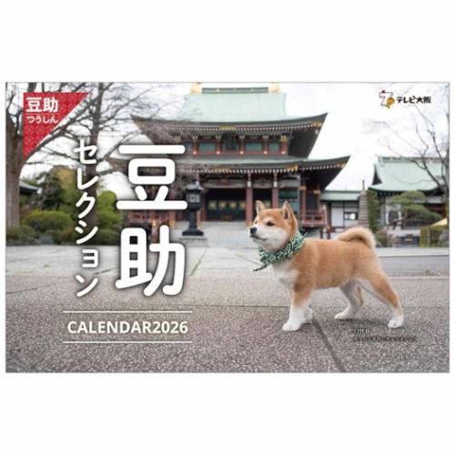 卓上カレンダー2026年 卓上 歴代豆助セレクション 2026 Calendar いぬ