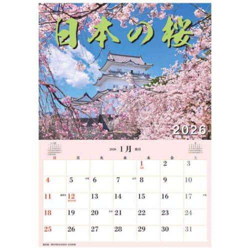 2026 Calendar ジャンボ「日本の桜」スケジュール 壁掛けカレンダー