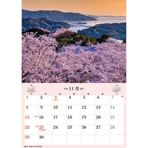 2026 Calendar ジャンボ「日本の桜」スケジュール 壁掛けカレンダー