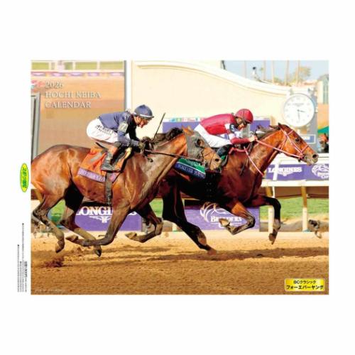 森脇梨々香/直筆サイン入り壁掛カレンダー2026 森脇梨々夏 2026 Calendar 壁掛けカレンダー2026年 女性タレント 女優