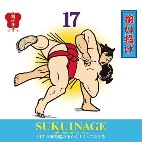 2026 Calendar 万年日めくり大相撲八十二手 卓上 壁掛 万年カレンダー