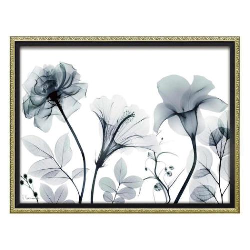 �t�����[�A�[�g �A���o�[�g �N�[�c�B�[�� X RAY �L�����o�X�A�[�g XR-12506 �I�u�V�[�N�C�A�X �g���f�B�V���� M�T�C�Y �C���e���A