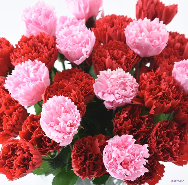 カーネーション 母の日 花 アート フラワー 切り花 花材 赤 レッド 